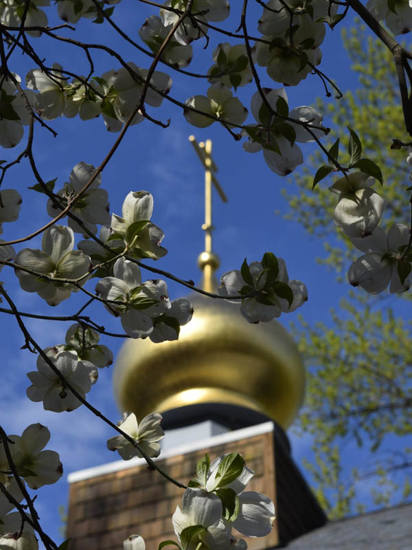 Onion Dome